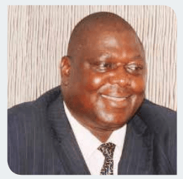 Wilson Nyegenye - Business Official/ Project Coordinator/Team Lead Equipment & Logistics