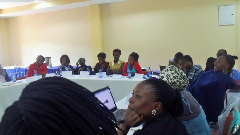 Dhis2 training
